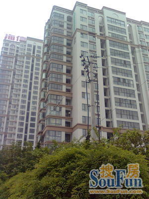 海湾花园(市南)实景图