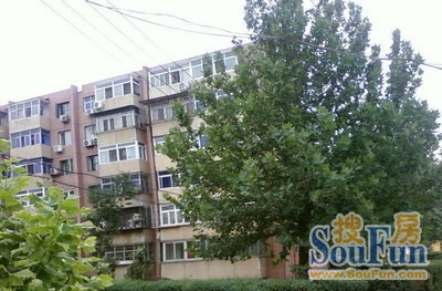 太平路40号院实景图