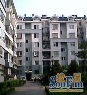 烧酒胡同实景图