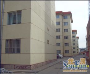 金岁小区3室2厅南北