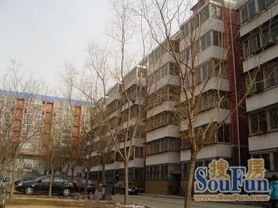 新汇园小区实景图