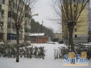 荣景公寓1室1厅南北