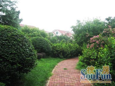  ����Է(����)2��1��2���ϳ���1666.00Ԫ/�³��� 