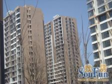 东方港湾 3室1厅 南 北