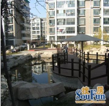 ���ɼ���