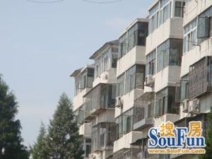 旧城东街3室1厅南北