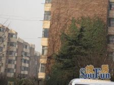 管道局社区低楼层两室一厅户型房子