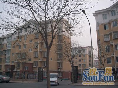 六所宿舍楼实景图