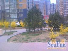 首科花园 6室2厅 南 北