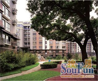 太平仓胡同实景图