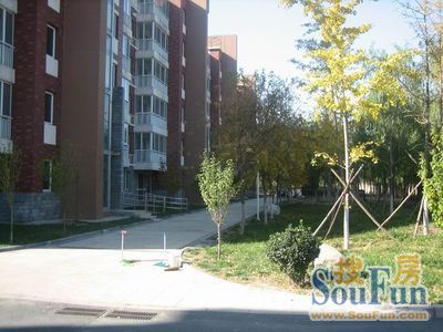  �����ٷ�2��1��2���ϳ���11000.00Ԫ/�³��� 