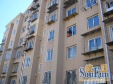 金石小区小高层有电梯南北通透两室两厅