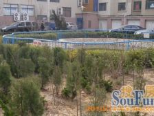 三和星海复试结构楼上没有低点,南北大阳台可看海