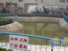 三和星海复试结构楼上没有低点,南北大阳台可看海