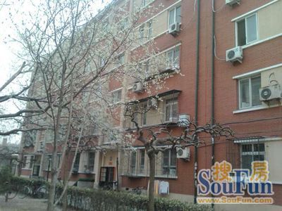 沙滩后街小区实景图