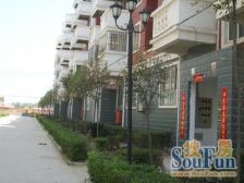 大复式,有钥匙急卖,露台可种花草11