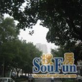 化工大院精装修小三居,中间楼层,管理好,停车方便