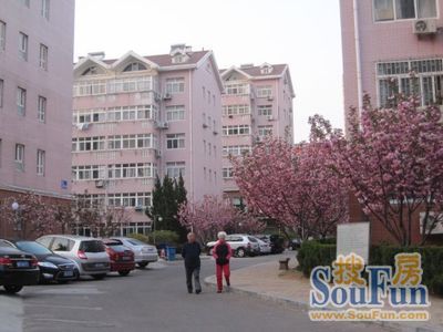 小区相关图