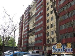 大柳树5号院精装修南北通透三居室