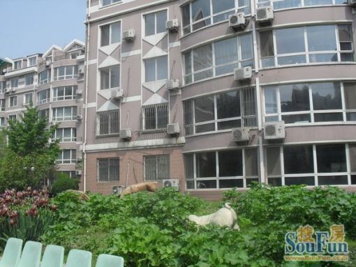  �̶�԰С��2��1��1���ϱ�����2800.00Ԫ/�³��� 