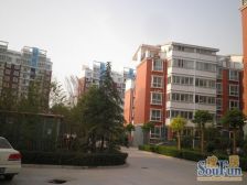 鑫成美墅四室两厅一厨两卫 ,精装修