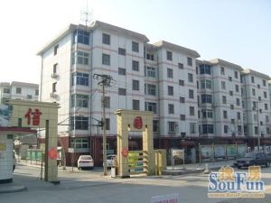 冯村信园小区满五唯一高楼层南北通透大两居