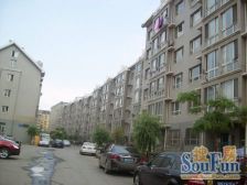 一楼门头,已开好,还有南院60平左右,适合多种经营