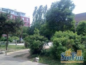 学府花园,国标户型,一楼有小院,三居室,精装