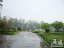 万光观海花园 2室2厅 南 北