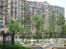 新上!凯旋城南北通透四居室 户型方正