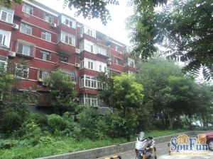 鸭子桥43号院2室1厅南北