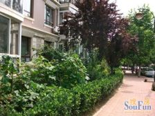 中南路封闭小区,中间楼层,舒适生活圈