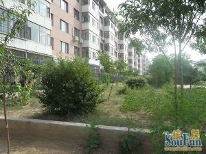 小区环境好,停车位多,绿化好 。