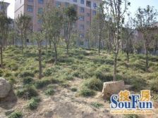 三环内 地铁口 双气 业主诚心卖