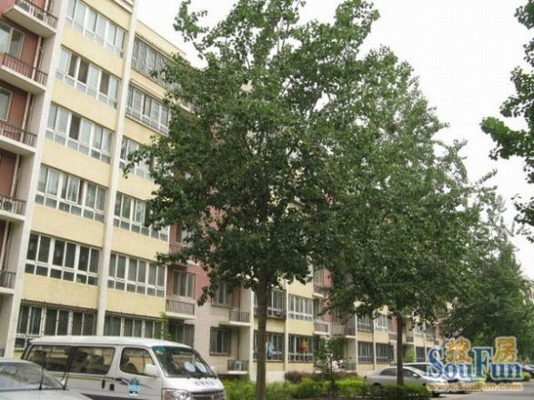 龙锦苑东四区实景图