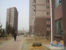 龙畔锦城 2室1厅 南 北