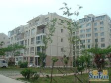 阳光生态城三室两厅两卫精装修海景房