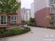 满五年 电梯洋房 户型 好 采光 好