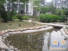 五期 一楼带下跃,一楼绿意映眼帘