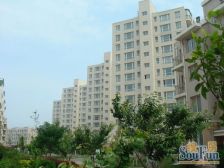 旅顺阳光生态城,全独立经典小户型,价格便宜,急售