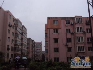 山东路 低楼层 南北户型 适合喜欢低楼层的