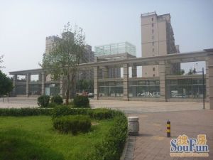 阳光家园西区,电梯房,精装修。