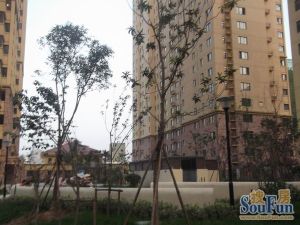 远大理想城,少有户型,组团安静,方便看