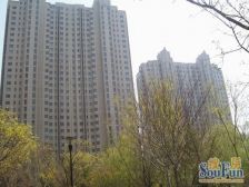 中低楼层跃层户型园林小区适合各类客户