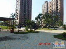 晶品枫林一室一厅南向小房带阳台