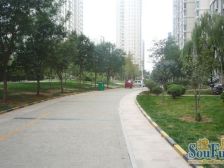 东区精装三室 全明户型 新小区 好楼层 采光好 视野棒