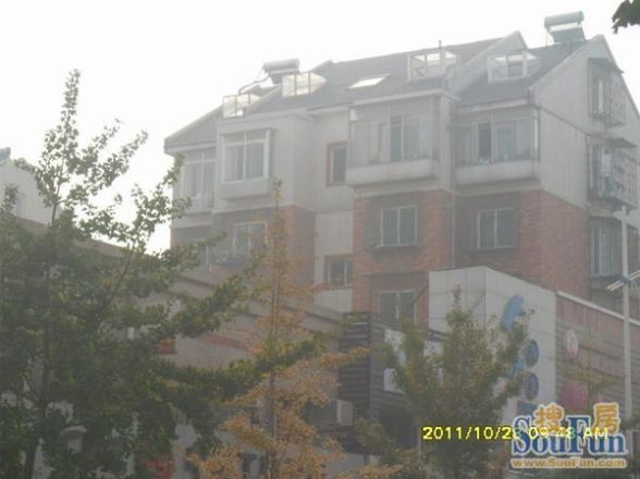 金州区光明小区实景图