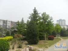 北工大双龙南里西区南北通透2居大客厅近地铁