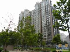 紫芳园三区商品房小区南向高层没遮挡