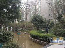 怡丰新城2室2厅西